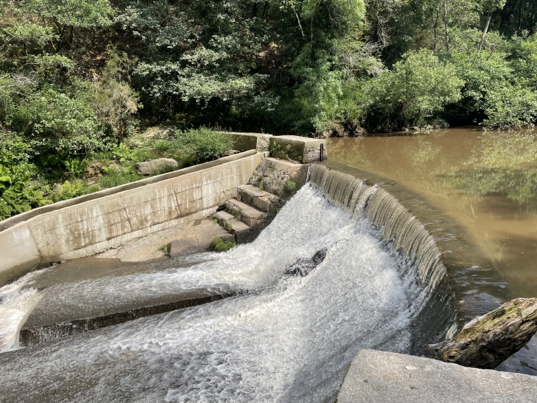 Suministro de una barrera s&oacute;nica para peces en la central hidroel&eacute;ctrica de Carboeiro (r&iacute;o Deza, Pontevedra, Espa&ntilde;a)