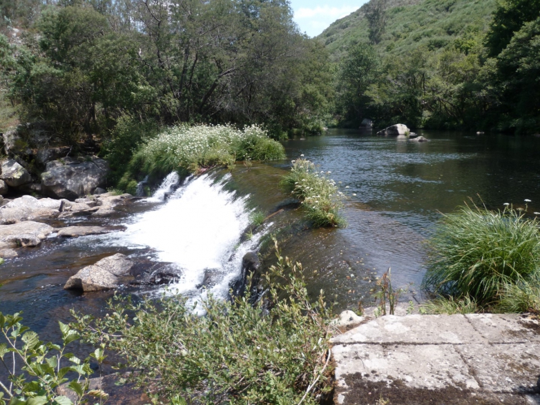 Suministro de una barrera s&oacute;nica de peces ALNUS-BSP en la central de Dorna en el r&iacute;o L&eacute;rez (Pontevedra)