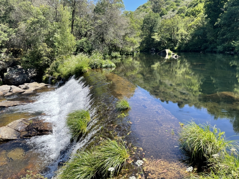 NATURGY instala una barrera s&oacute;nica para peces ALNUS-BSP en la Central de Dorna en el r&iacute;o L&eacute;rez (Pontevedra, Espa&ntilde;a)