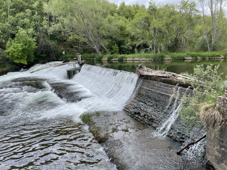 Suministro de una barrera s&oacute;nica para peces ALNUS-BSP para la central hidroel&eacute;ctrica de Lug&aacute;n (Le&oacute;n)