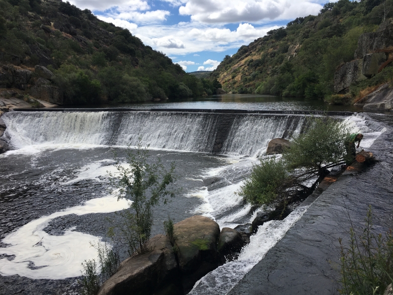 Suministro de una barrera s&oacute;nica para peces en la CH de Puerto Seguro (Salamanca)