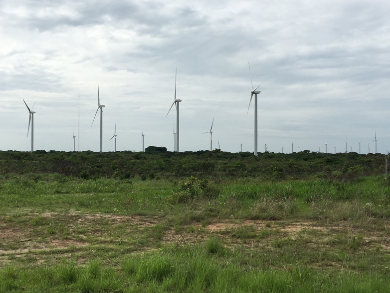 Finaliza estudio piloto sobre eficacia de los equipos ALNUS-BSA